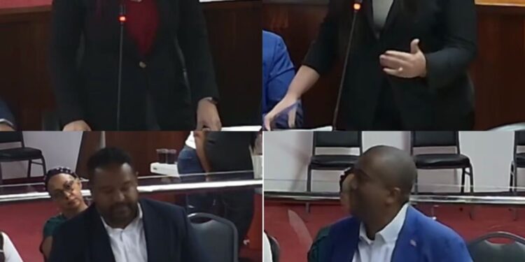 Regidores de FP denuncian falta de transparencia en Concejo de Santiago de los Caballeros