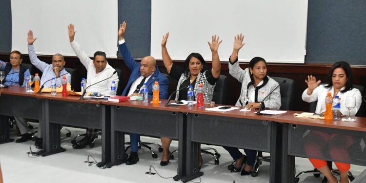 Regidores de La Vega dejan sin efecto la renuncia de Amparo Custodio