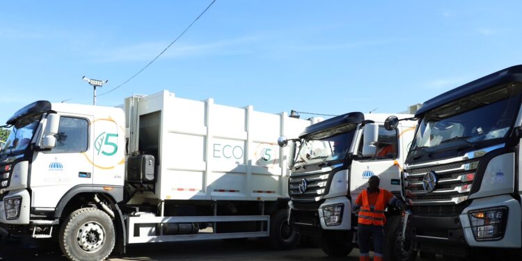 ASDN refuerza recogida de basura con programa «Navidad Límpia» en conjunto con Eco5RD