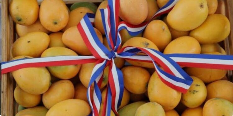 Baní ya es oficialmente la Capital del Mango: iniciativa del senador Julito Fulcar es aprobada