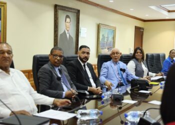 PLD defiende cesantía justa y dignidad en proyecto de reforma al Código de Trabajo