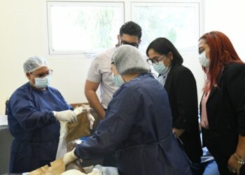 Alto Costo abre ventana a la vida, promueve articulación de Red de Hospitales para el tratamiento de Pie Diabético