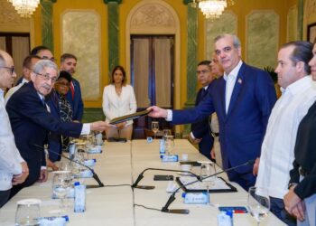 CES entrega informe final sobre crisis haitiana al presidente Abinader