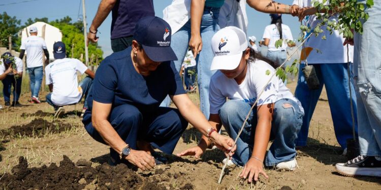 Voluntariado Banreservas siembra 1,500 caobas criollas en Navarrete durante el Mes de la Reforestación