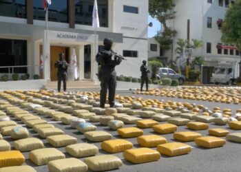 RD consolida liderazgo en la región en lucha contra narcotráfico; ocupa durante 2025 más de 31 toneladas