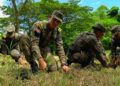 Fuerzas Armadas liderarán siembra de más de 100,000 árboles en jornada nacional por el Día Nacional del Árbol